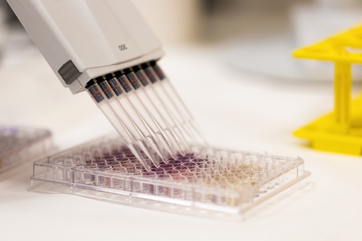 [TP366] AmpliStar-II 8-Strip 0.1ml Low-Profile PCR Tubes, Attached Optical Flat Caps - 120