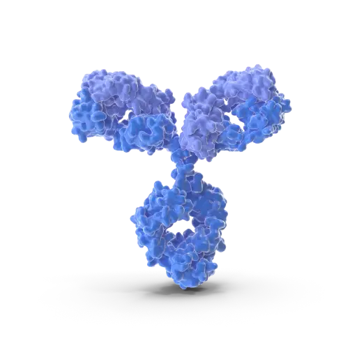 [ABD6424] NOS1 Antibody
